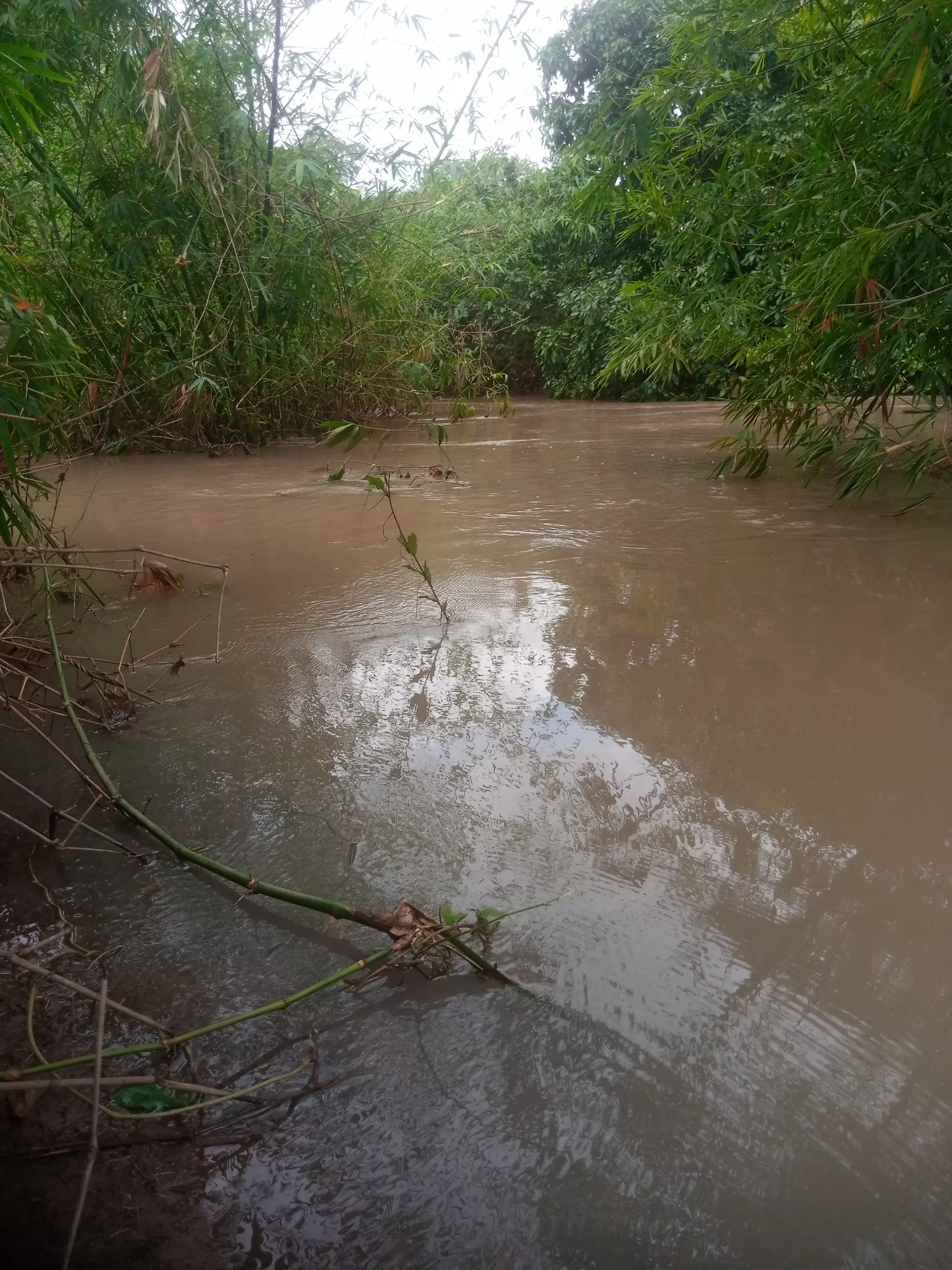 Failed Water Project: Frustration as villagers drink from streams, wells in Benue community