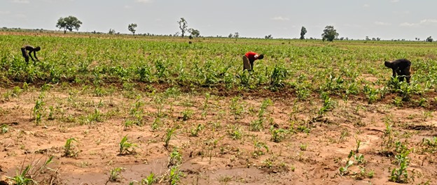 Climate change Nigerian farmers debt and poverty